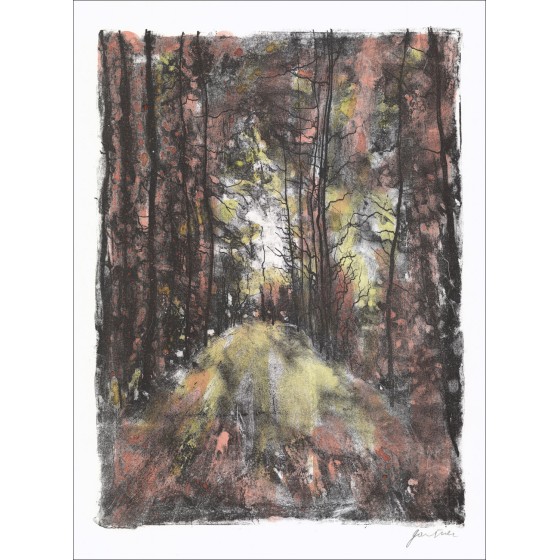 Acquista Litografia originale Bernard Gantner La foresta in autunno 1967