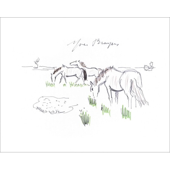 Koop Oorspronkelijke tekening met potlood Yves BRfra_LatnER Paarden in Camargue 1965