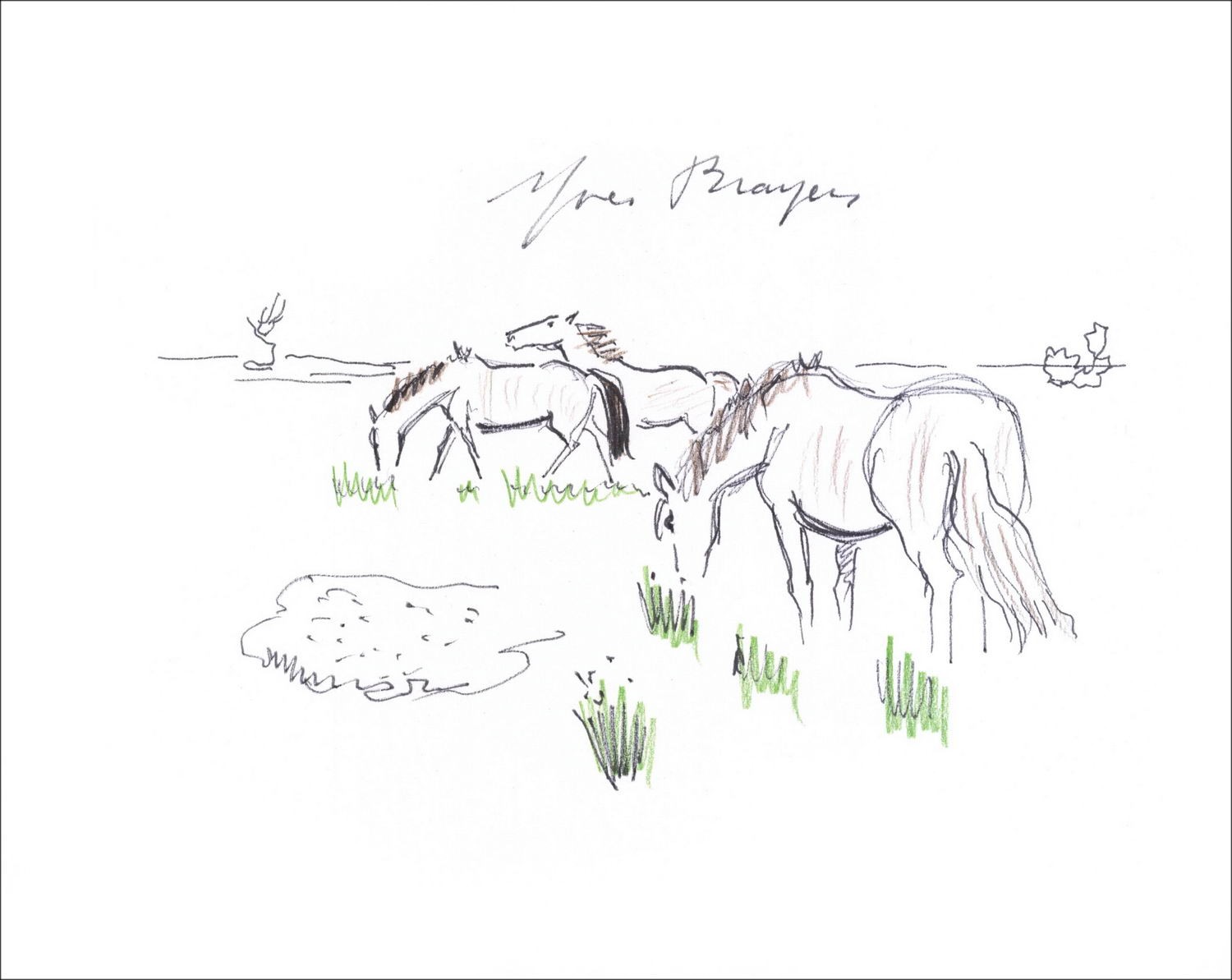 Purchase Original Drawing with pencil Yves BRAYER Horses in Camargue 1965