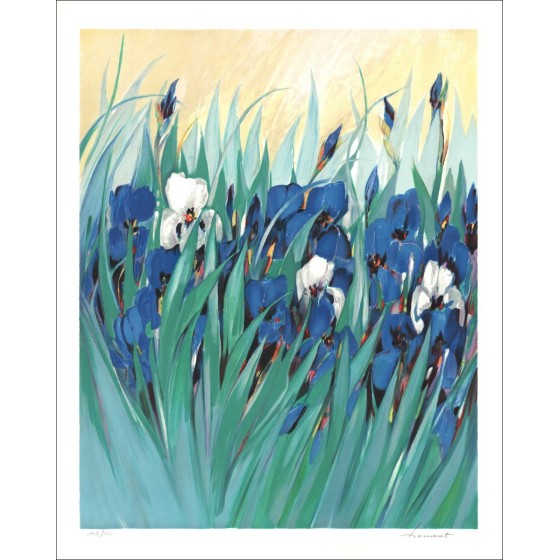 Acquista Litografia originale Claude Hemeret Iris Field 