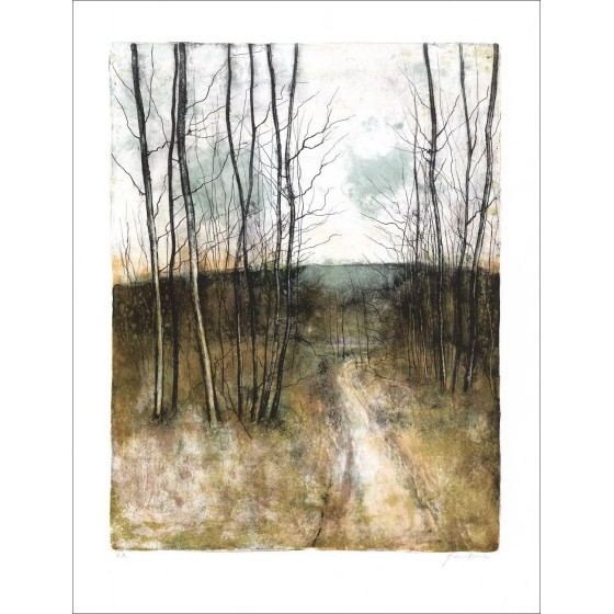 Buy Bernard Gantner Original Lithograph Forest Landscape