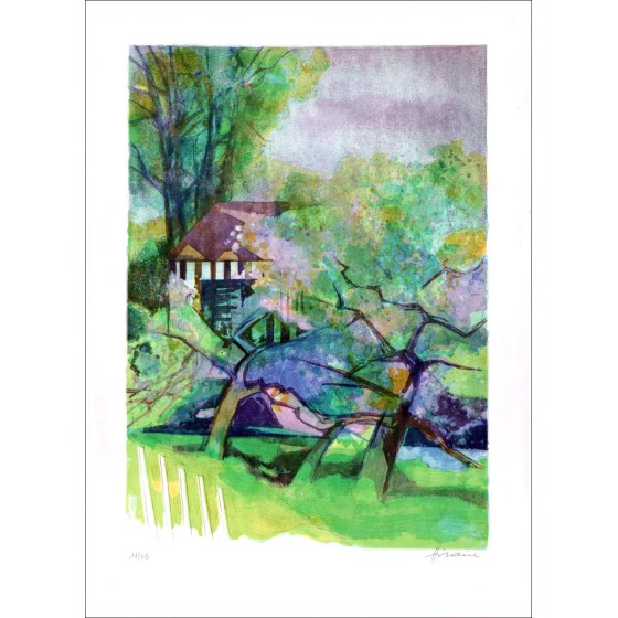Acquista Litografia originale Camille Hilaire Verger e Casa Norman