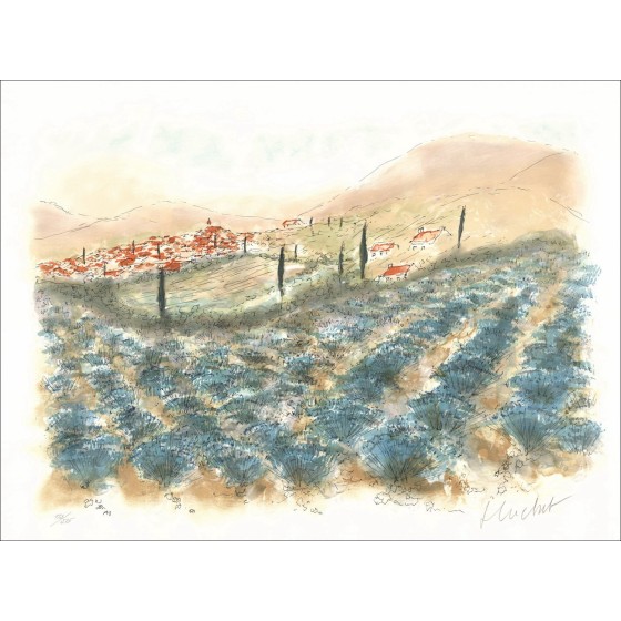 Stedelijke Huchet: veld van lavendel in de Provence, originele ondertekende lithografie