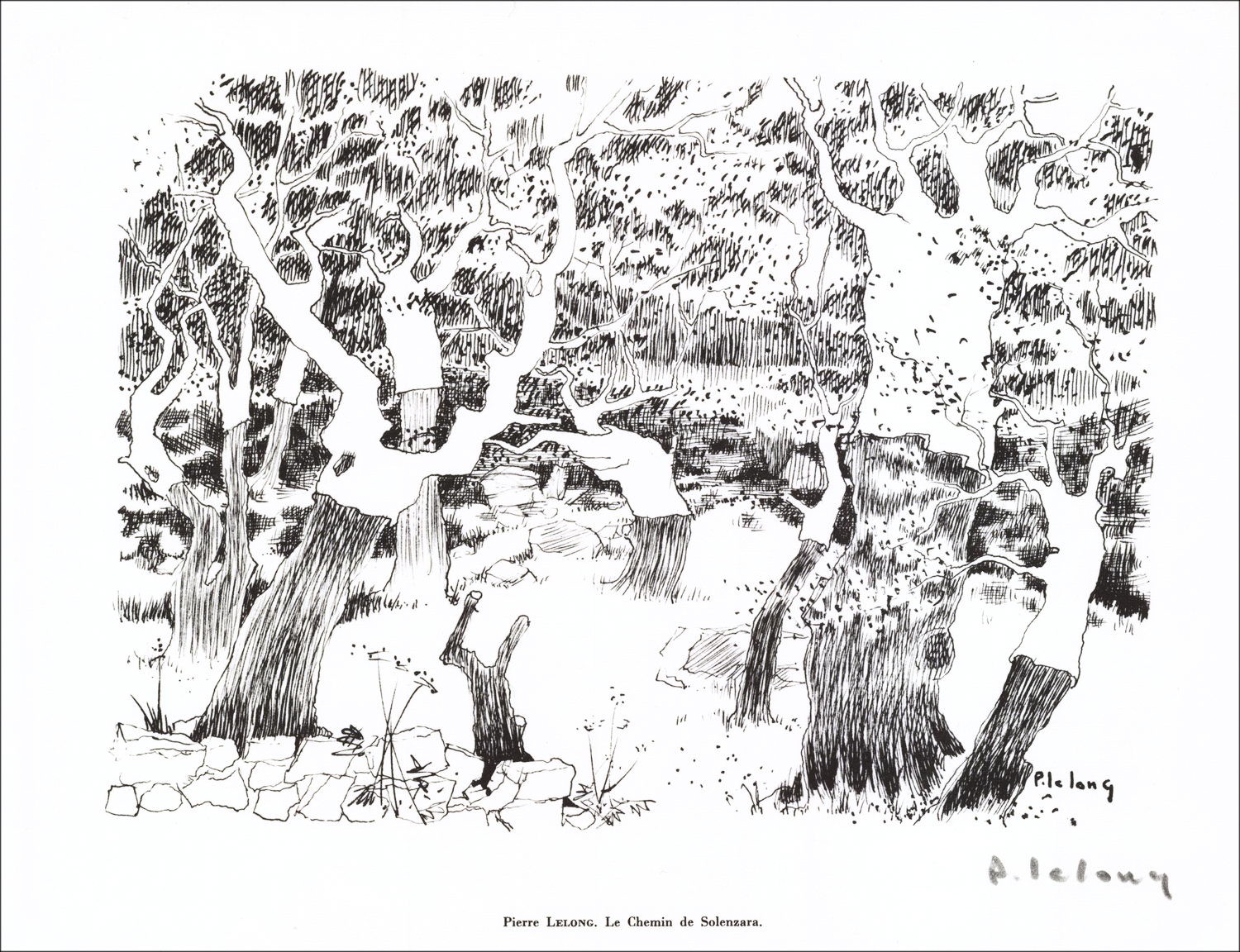 Pierre Lelong - Lithografie ondertekend in potlood "het pad van Solenzara" 27x21cm - 1961