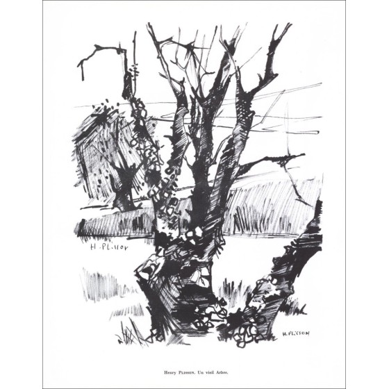 Henry Plisson - Lithographie in Bleistift signiert "Ein alter Baum" 27x21cm - 1961