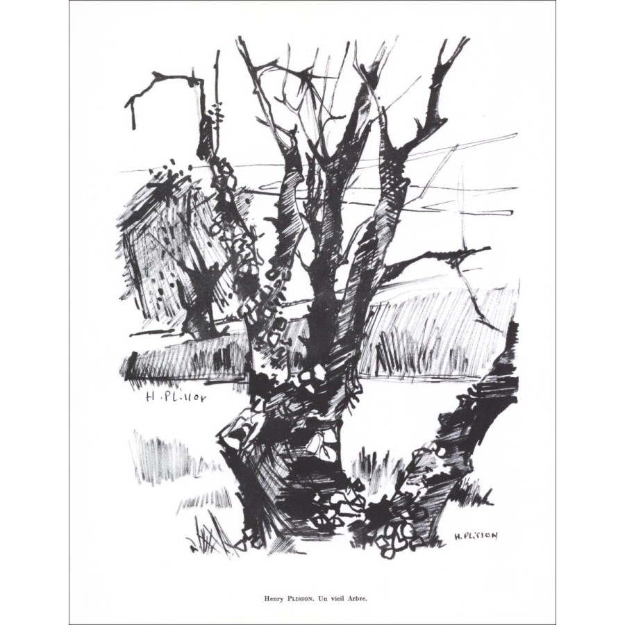 Henry Plisson - Lithographie in Bleistift signiert "Ein alter Baum" 27x21cm - 1961