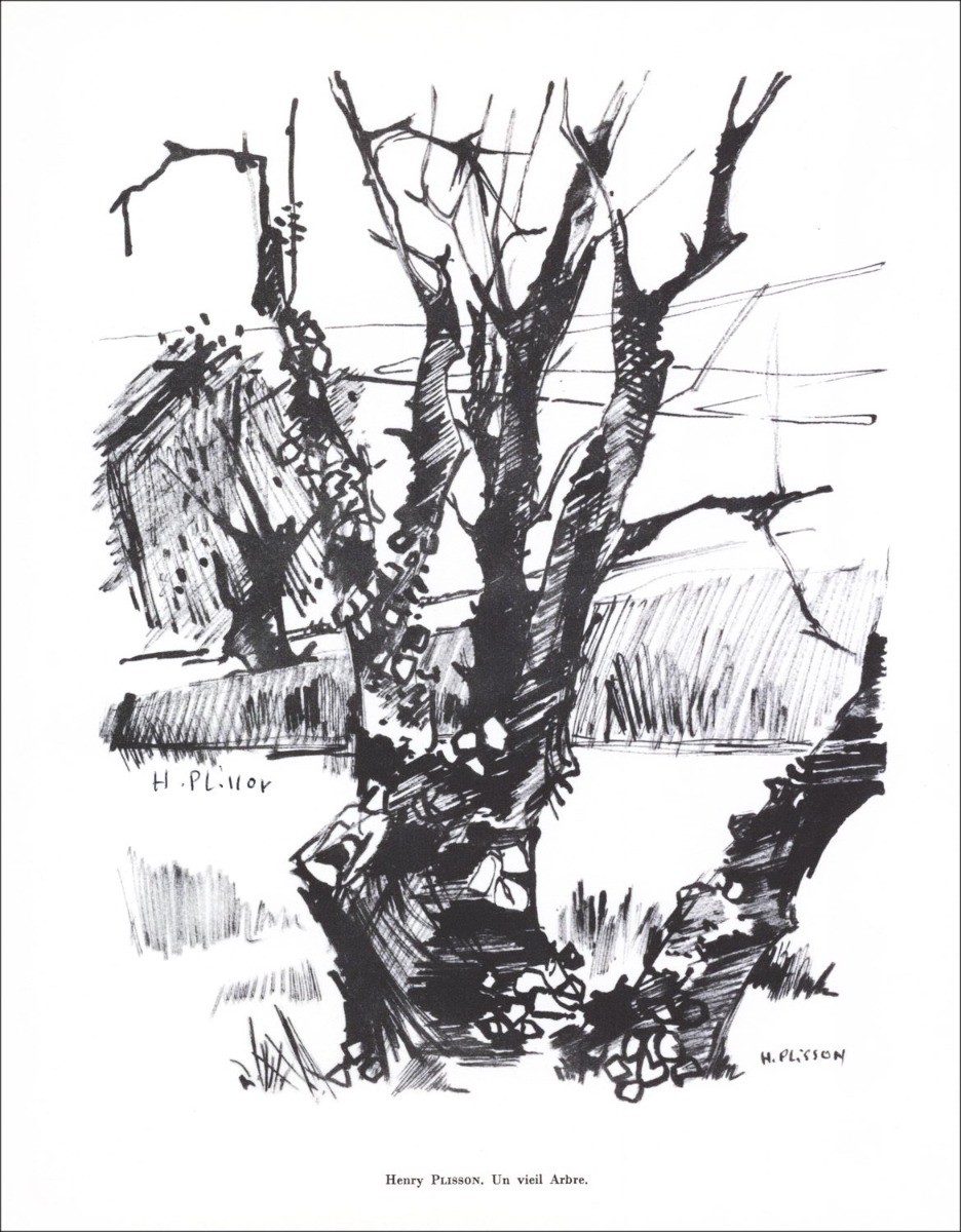 Henry PLISSON - Litografia firmata a matita "Un vecchio albero" 27x21cm - 1961