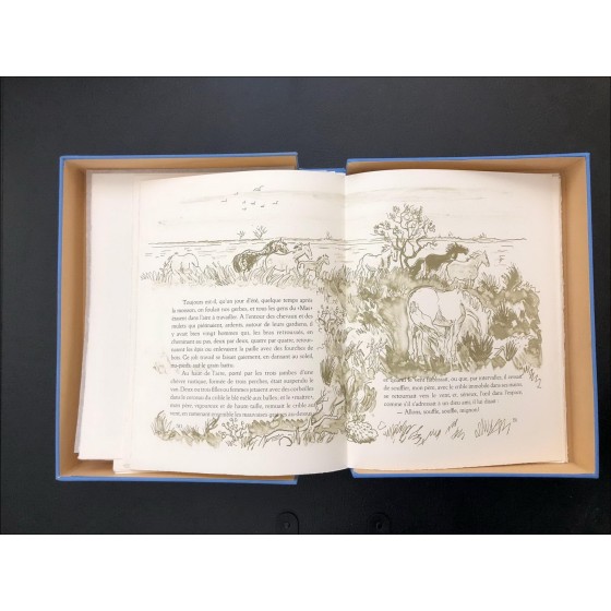 Libro ilustrado de Yves Brayer en Provenza 8 Litografías de color
