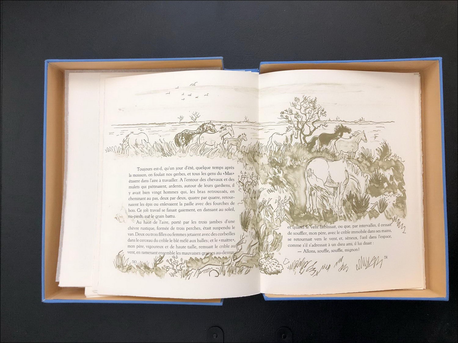 Libro ilustrado de Yves Brayer en Provenza 8 Litografías de color