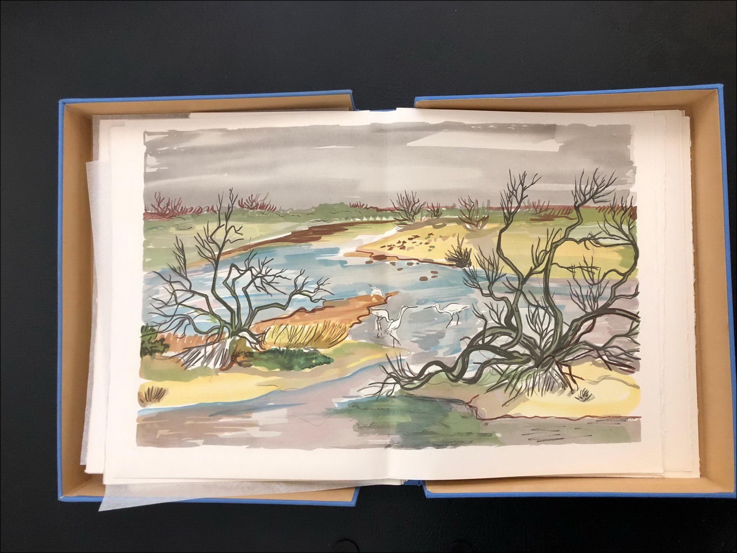 Illustration von Yves BRAYER In Provence 8 Lithographien