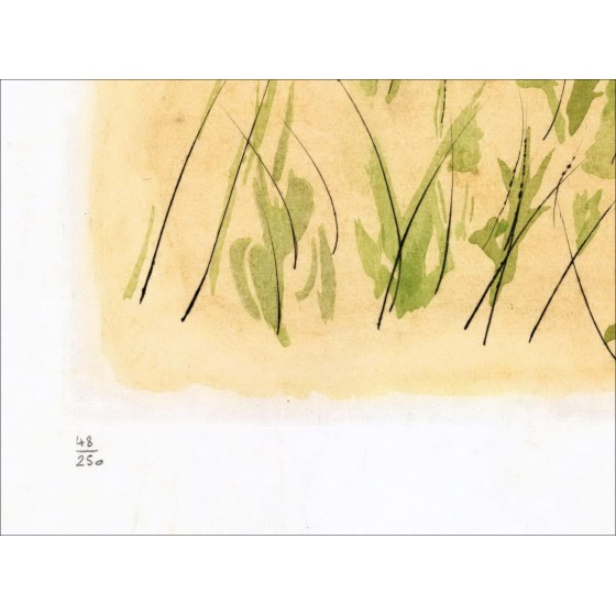 Salvador DALI - Gravure originale "Le Bestiaire de la Fontaine, Le cerf malade"