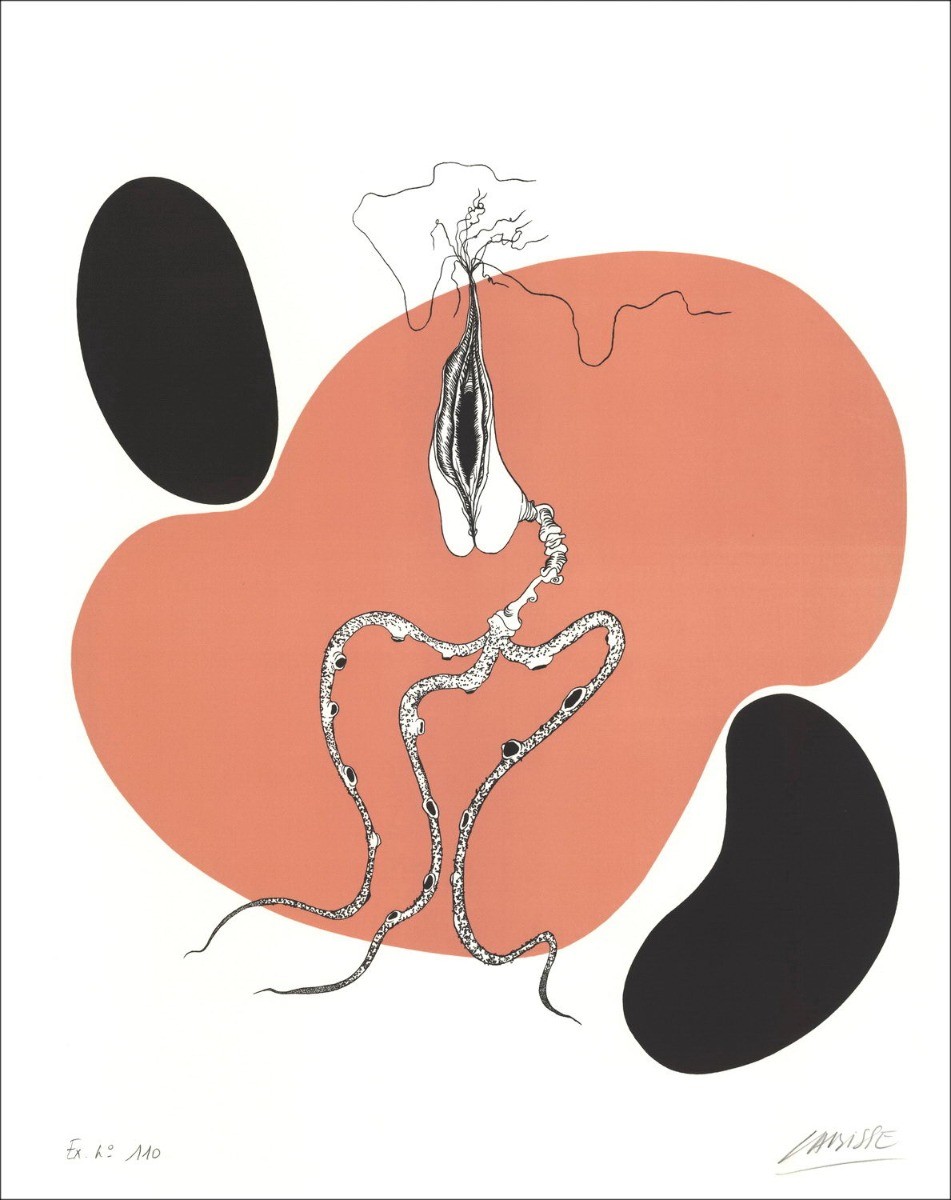 Achat Lithographie Félix LABISSE  Histoire Naturelle, Le Cherche-Midi