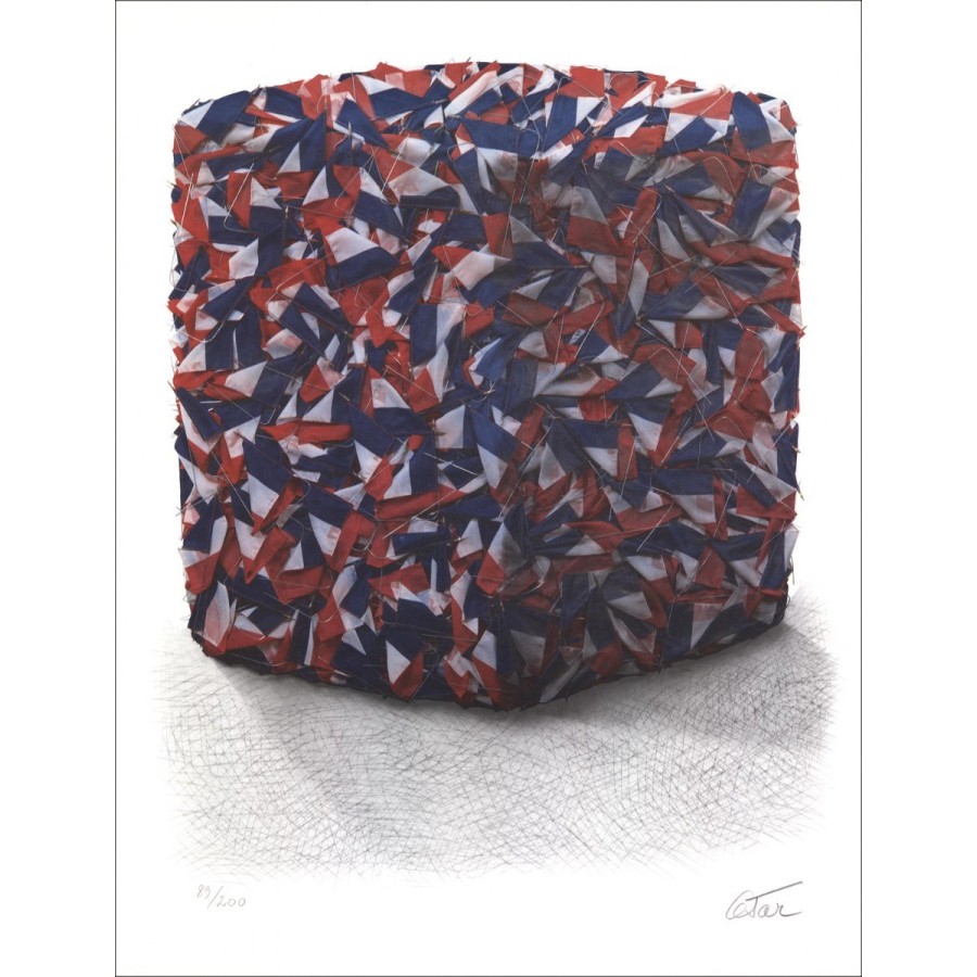 Cesare (Baldaccini) - Litografia originale "Ritratto della compressione della bandiera francese" 76x58cm - 1989