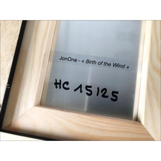 Acquista la Serigrafia su alluminio di Jonone, Birth of the wind