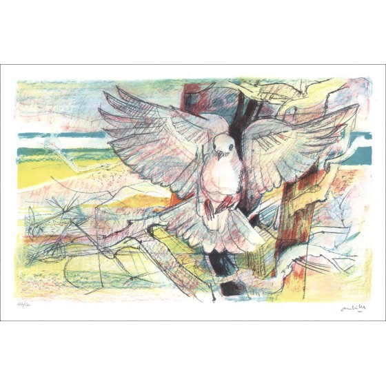 Compra litografía original AMBILLE Paul La paloma
