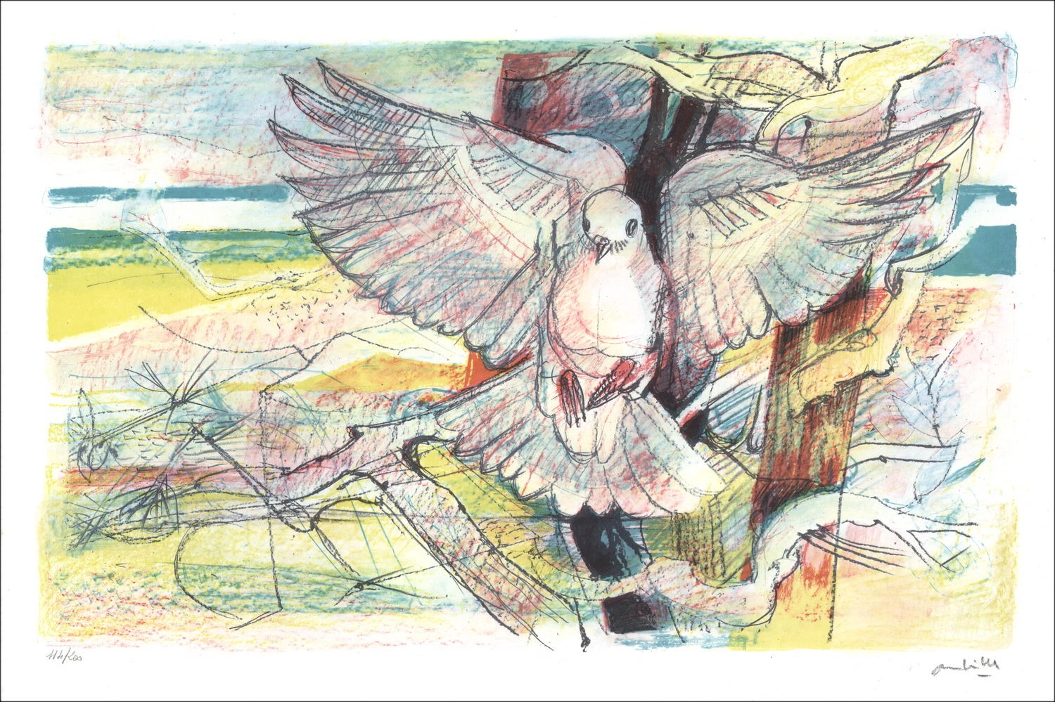 Koop originele lithografie AMBILLE Paul De duif
