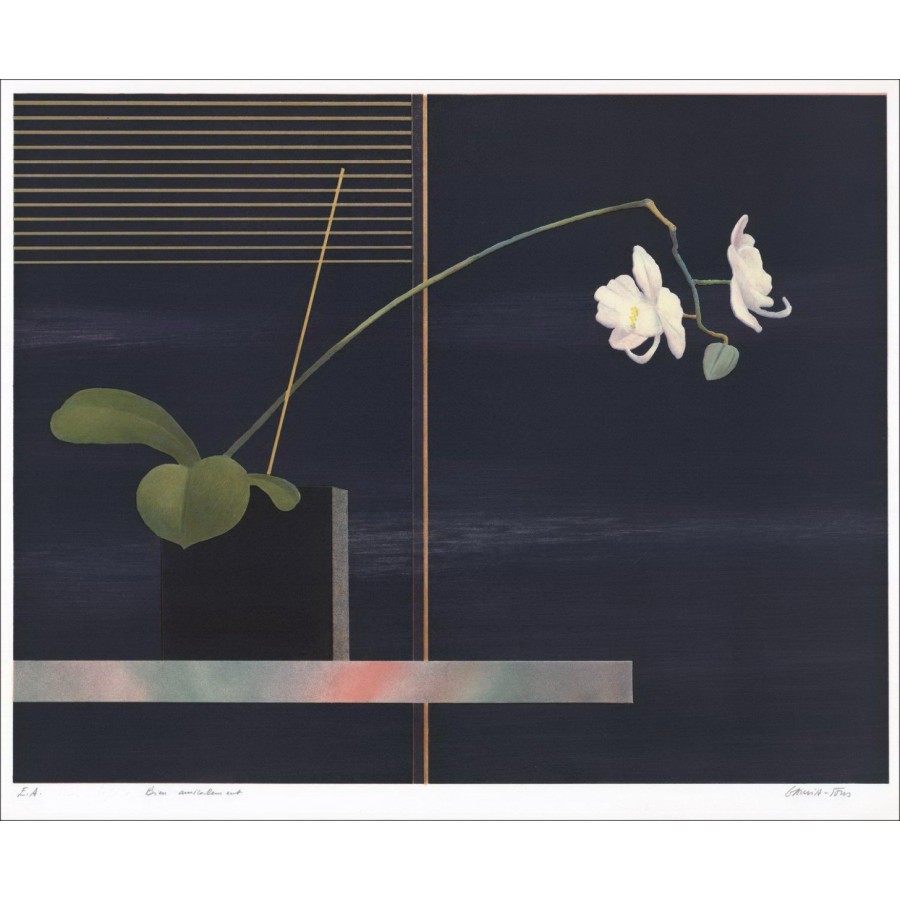 Pierre Garcia-fons - Original-Lithographie "Die Orchidee" 56x68cm, signiert und nummeriert im Bleistift