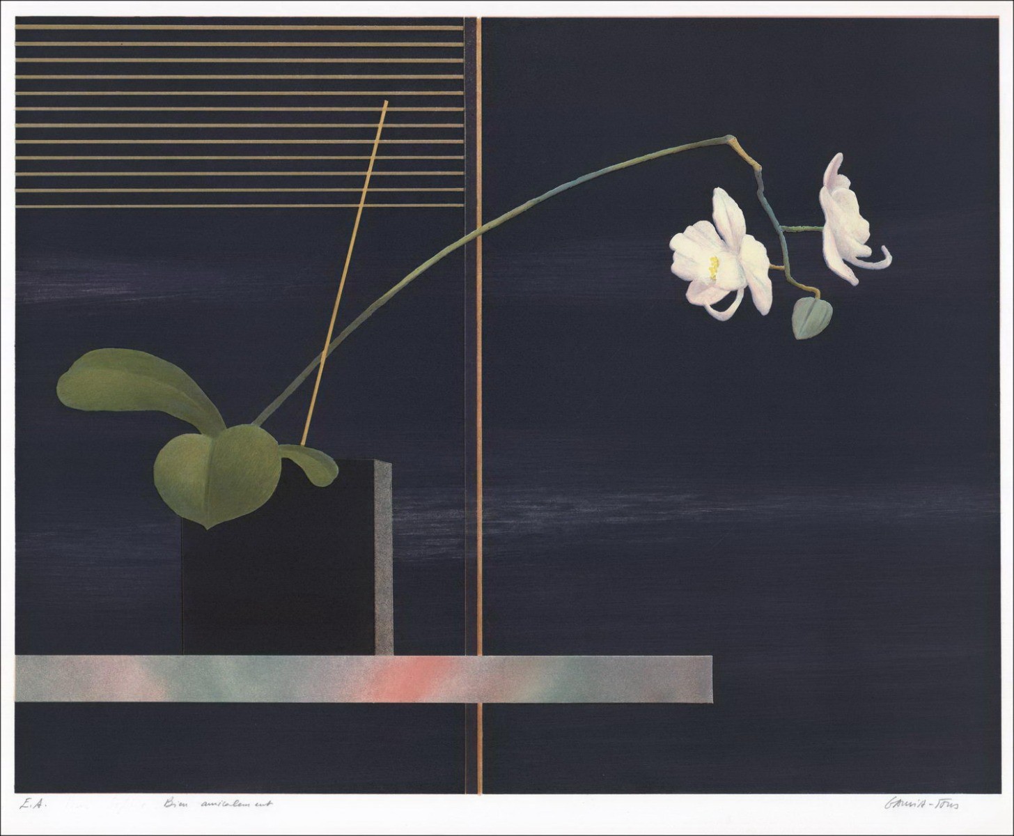 Pierre Garcia-Fons - Litografia originale "L'orchidea" 56x68cm, firmata e numerata a matita