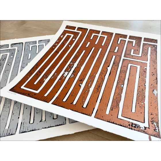 Acheter L'ATLAS Just Another Seal, Silver Sérigraphie Originale 2020