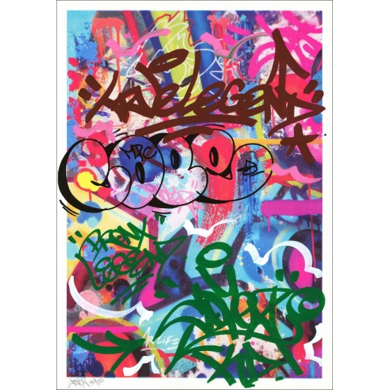 Koop afdruk verbeterd met acryl COPE2 - Bronx-pictogram! Nr. 30/100