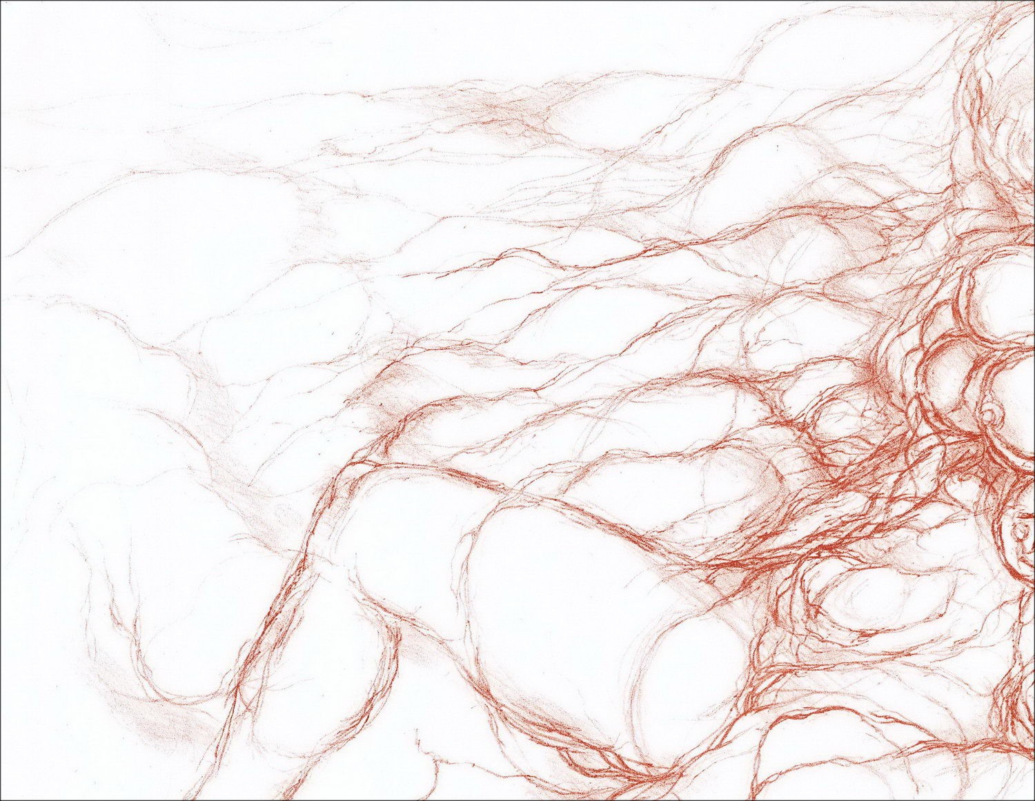 Marcel Gili - Original-Lithographie "Frau, sanguine" 50x65cm, signiert und nummeriert in Bleistift des Künstlers