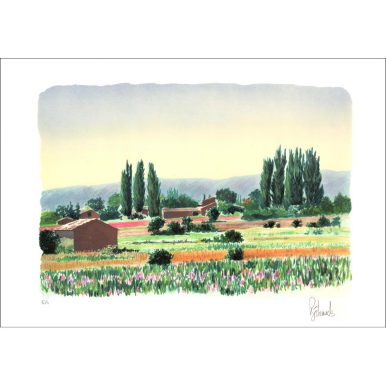 Landscape of Provence - Original lithograph numbered and signed in pencil by the artist - Budget range, affordable, for decorati