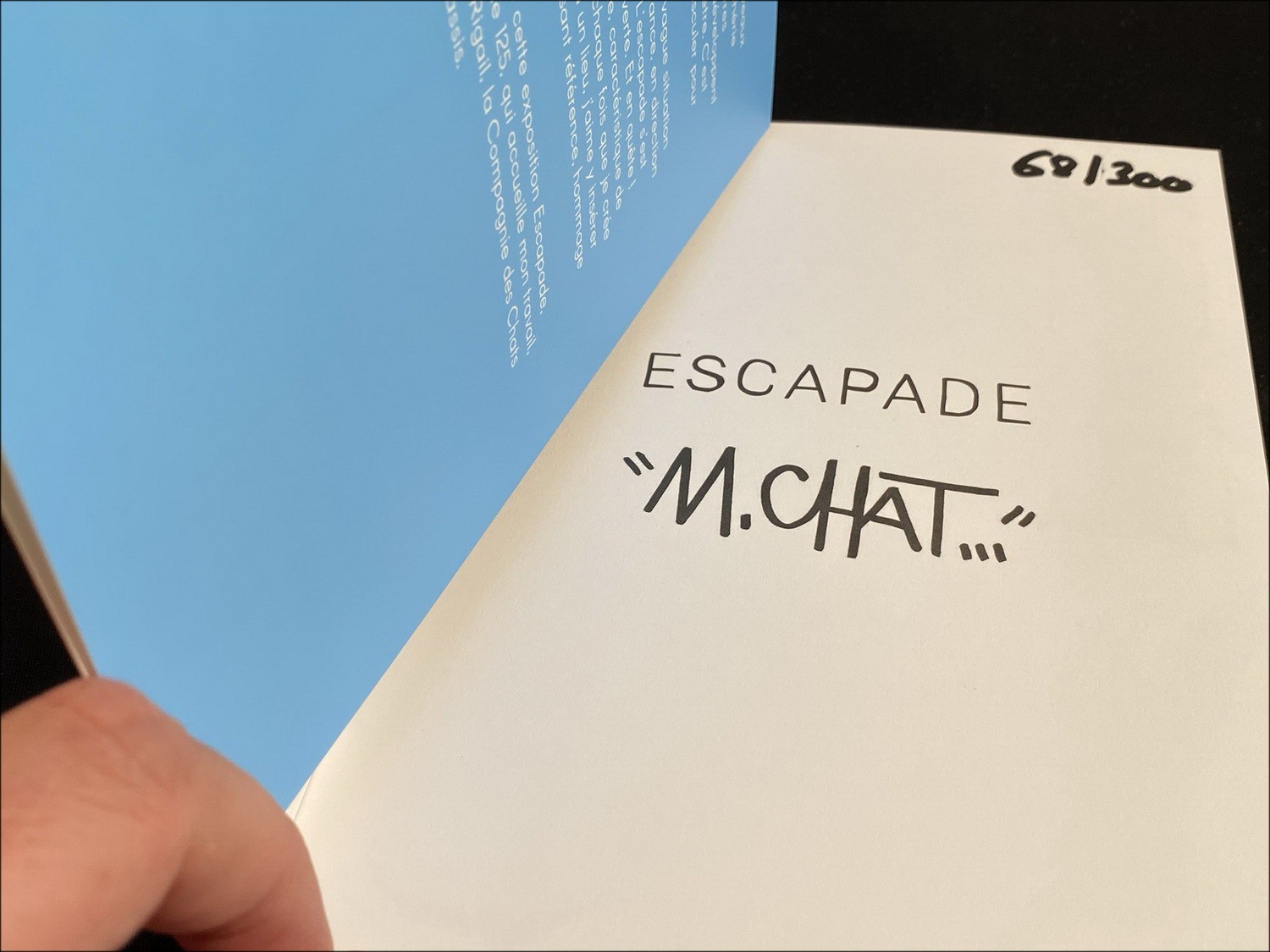 Kaufen Sie Künstlerbuch M.Chat - Escapade