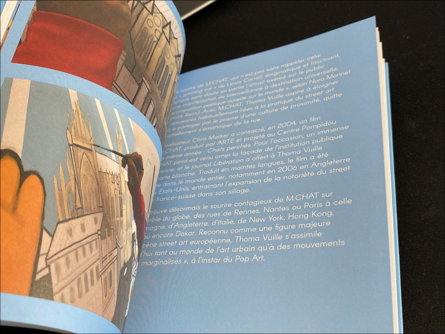 Kaufen Sie Künstlerbuch M.Chat - Escapade