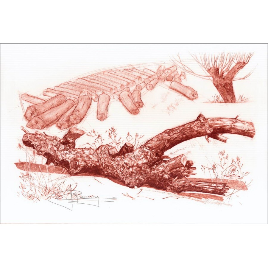 Raymond CARRANCE "Le vieux bois"  Lithographie Originale sur papier Soie, signée à la plume - 40x59cm