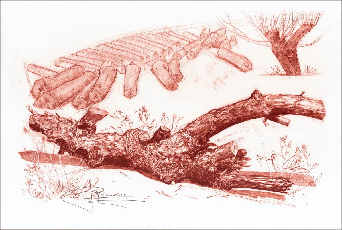 Raymond CARRANCE "Il vecchio legno" Litografia originale su carta di seta, firmata a penna - 40x59cm