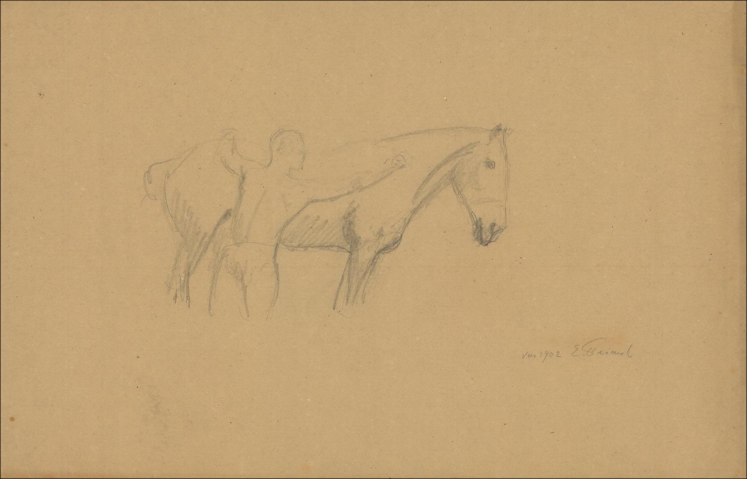 Koop Émile freus zijn originele tekening in potloodstudie voor het oude paard